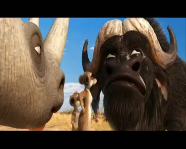 Animaux & Cie (2010)