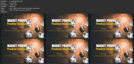 Market Profile: The Trading Master Session