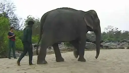 IndiaTravel Films - Kanha National Park (2012)