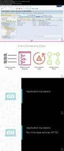 SAP ABAP Objects: Advanced Programming Techniques