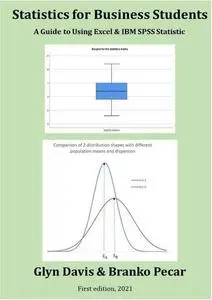 Statistics for Business Students: A Guide to Using Excel & IBM SPSS Statistics