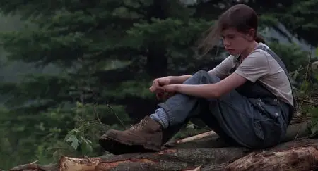Fly Away Home / Летите домой (1996)