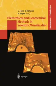 Hierarchical and Geometrical Methods in Scientific Visualization