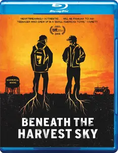 Beneath the Harvest Sky (2013)