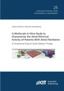 A Multiscale In Silico Study to Characterize the Atrial Electrical Activity of Patients With Atrial Fibrillation