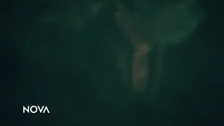 NOVA S52E14