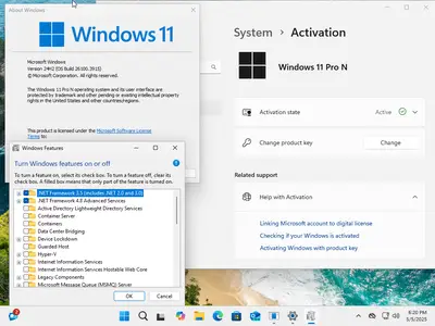 Windows 11 AIO 16in1 24H2 Build 26100.3915 (No TPM Required) Preactivated Multilingual