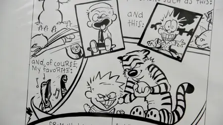 Dear Mr. Watterson (2013)