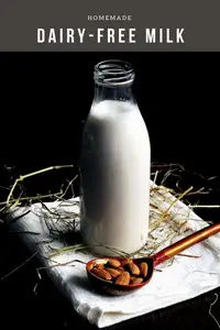 HOMEMADE DAIRY-FREE MILK RECIPE BOOK: 50 SIMPLE AND EASY PLANT-BASED MILK RECIPES TO MAKE AT HOME