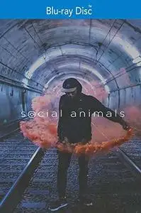 Social Animals (2018)