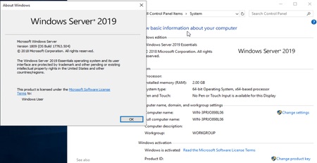 Microsoft Windows Server 2019 Essentials ESD 1809 Build 17763.504 May 2019
