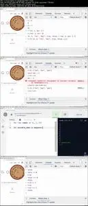 Python, JS, & React | Build a Blockchain & Cryptocurrency