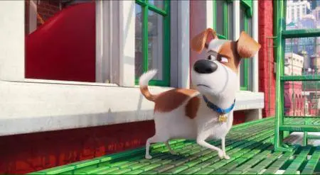 The Secret Life of Pets (2016)