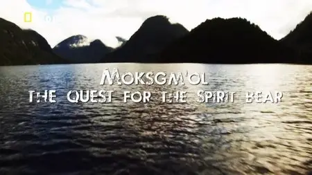 National Geographic - Moksgm'ol: The Quest for the Spirit Bear (2012)