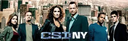 CSI New York S06E01 Epilogue