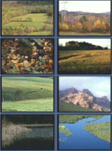 Corbis v.061 - Tranquility