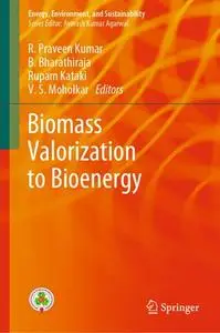 Biomass Valorization to Bioenergy