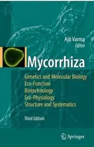 Mycorrhiza [Repost]