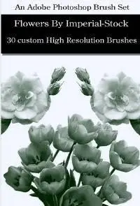 Flower Brushes For Photoshop