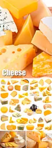 Stock Photo - Cheese