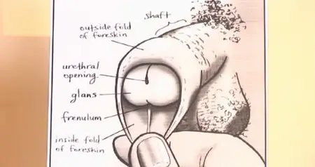 The Expert Guide to Oral Sex, Part Two: Fellatio