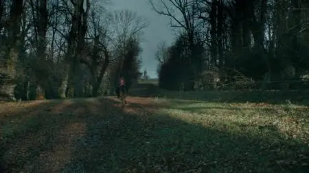 Vikings S05E12