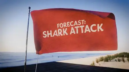 Forecast Shark Attack (2019)