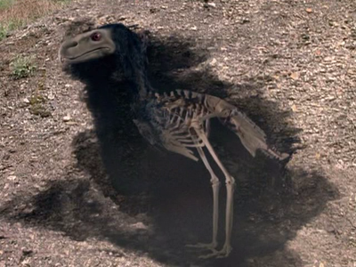 BBC - The Life of Birds (1998)