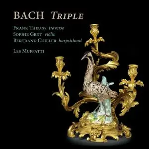Frank Theuns, Sophie Gent, Bertrand Cuiller & Les Muffatti - Bach Triple (2024)