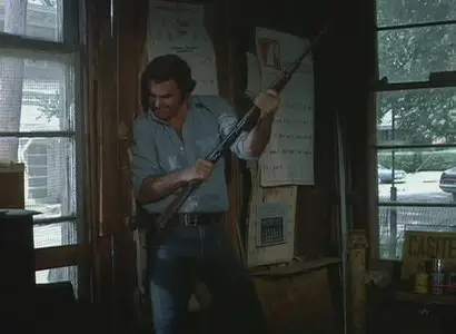 White Lightning (1973)