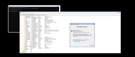 Windows Server, Version 20H2 Build 19042.1766