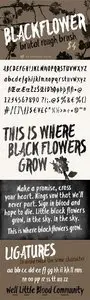 Blackflower