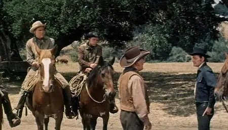 The Tall Stranger (1957)