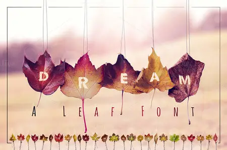 CreativeMarket - DREAM - A Leaf Font