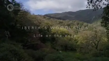 PBS - Iberia's Woodlands: Life on the Edge (2020)