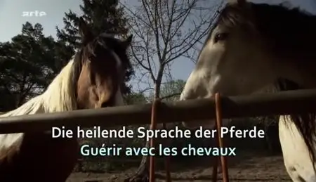 (Arte) Guérir avec les chevaux (2012)