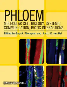 Phloem: Molecular Cell Biology, Systemic Communication, Biotic Interactions (repost)