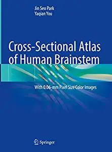 Cross-Sectional Atlas of Human Brainstem