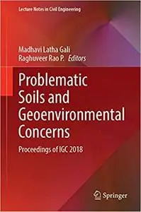 Problematic Soils and Geoenvironmental Concerns: Proceedings of IGC 2018