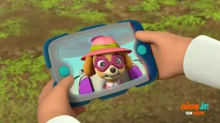 Paw Patrol S05E11