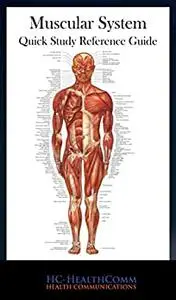 Muscular System - Quick Reference Guide: Full Illustrated