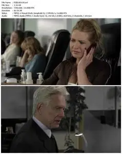 Arctic Blast (2010)