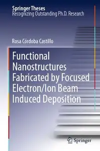 Functional Nanostructures Fabricated by Focused Electron/Ion Beam Induced Deposition