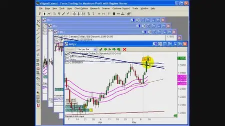 Raghee Horner Forex trader Package (2010)