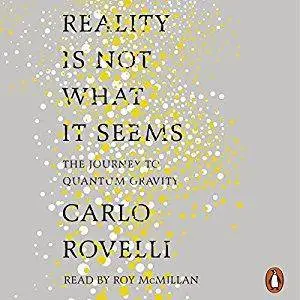 Reality Is Not What It Seems: The Journey to Quantum Gravity (Audiobook, repost)