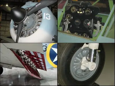 SBD Dauntless Walk Around