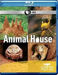Nature: The Animal House (2011)
