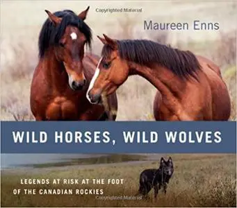 Wild Horses, Wild Wolves: Legends at Risk at the Foot of the Canadian Rockies