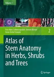 Atlas of Stem Anatomy in Herbs, Shrubs and Trees: Volume 2 (Repost)