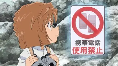 Meitantei Conan (1996-?) (978-984)